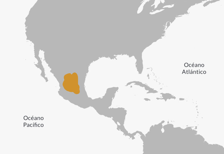 Carte de localisation de Chichimeca