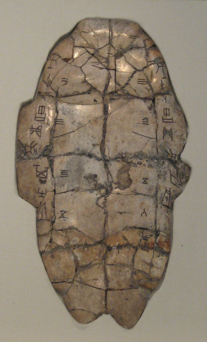photographie d'une carapace de tortue avec des inscriptions divinatoires