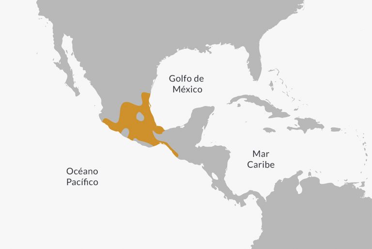 Localisation de la culture aztèque.