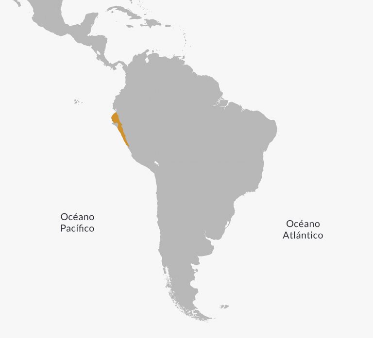 Carte de la civilisation Chimú